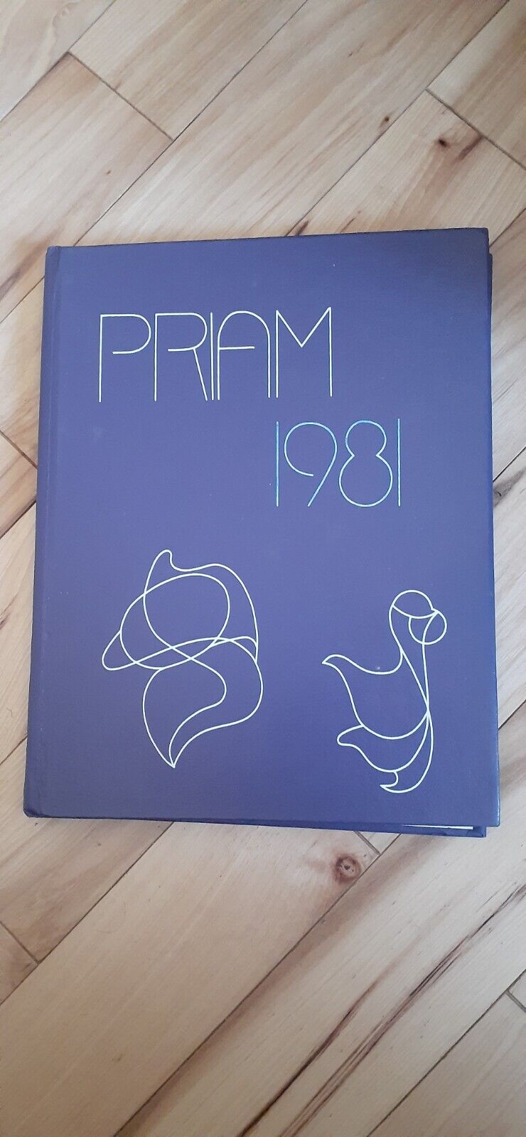 Vintage 1981 Cary - Grove Priam High School Yearbook Carey Illinois 60013