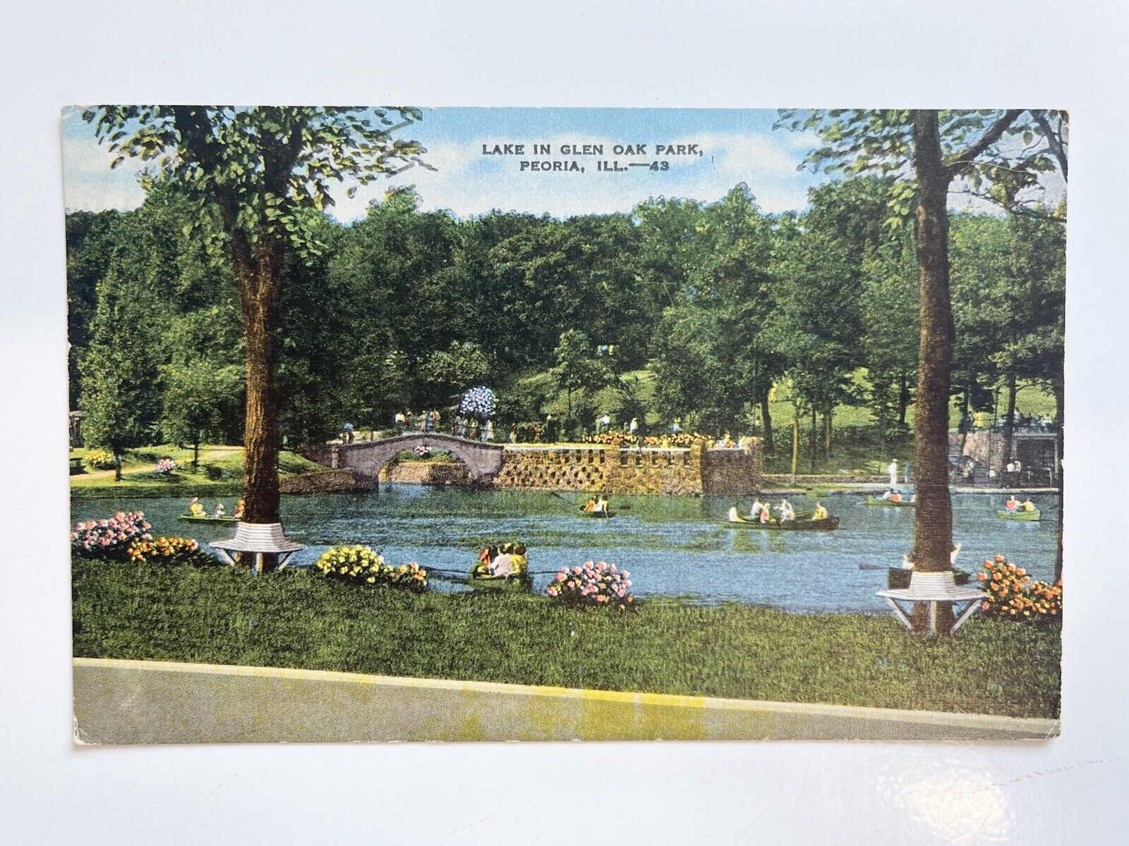 Vintage Lake In Glen Oak Park Peoria, IL  Postcard