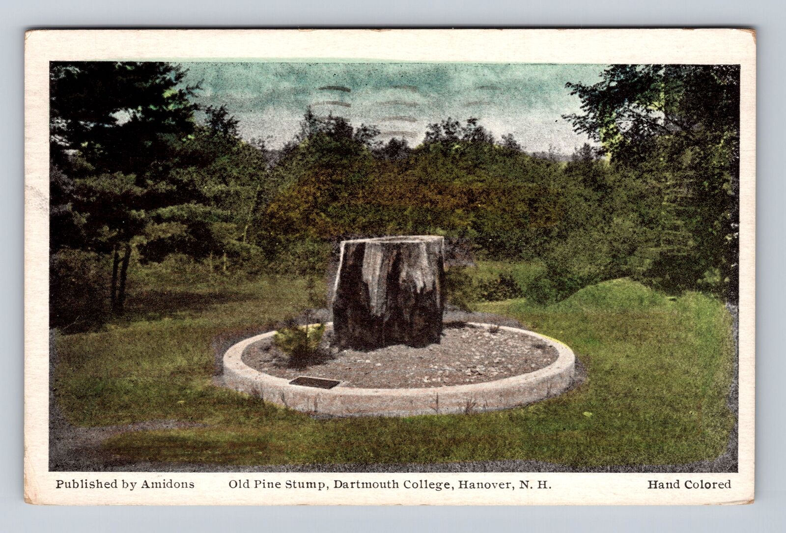 Hanover NH-New Hampshire, Dartmouth College, Pine Stump, Vintage c1950 Postcard