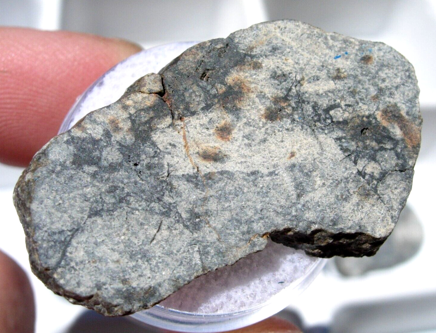 9.22 grams NWA 15923 HED achondrite slice (Eucrite, melt breccia) Meteorite +COA