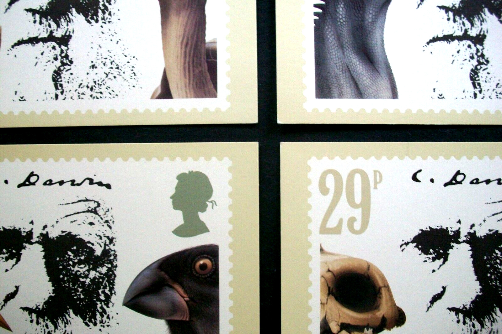 4 Lot Charles Darwin Animals Evolution Postcards UK 6x4\