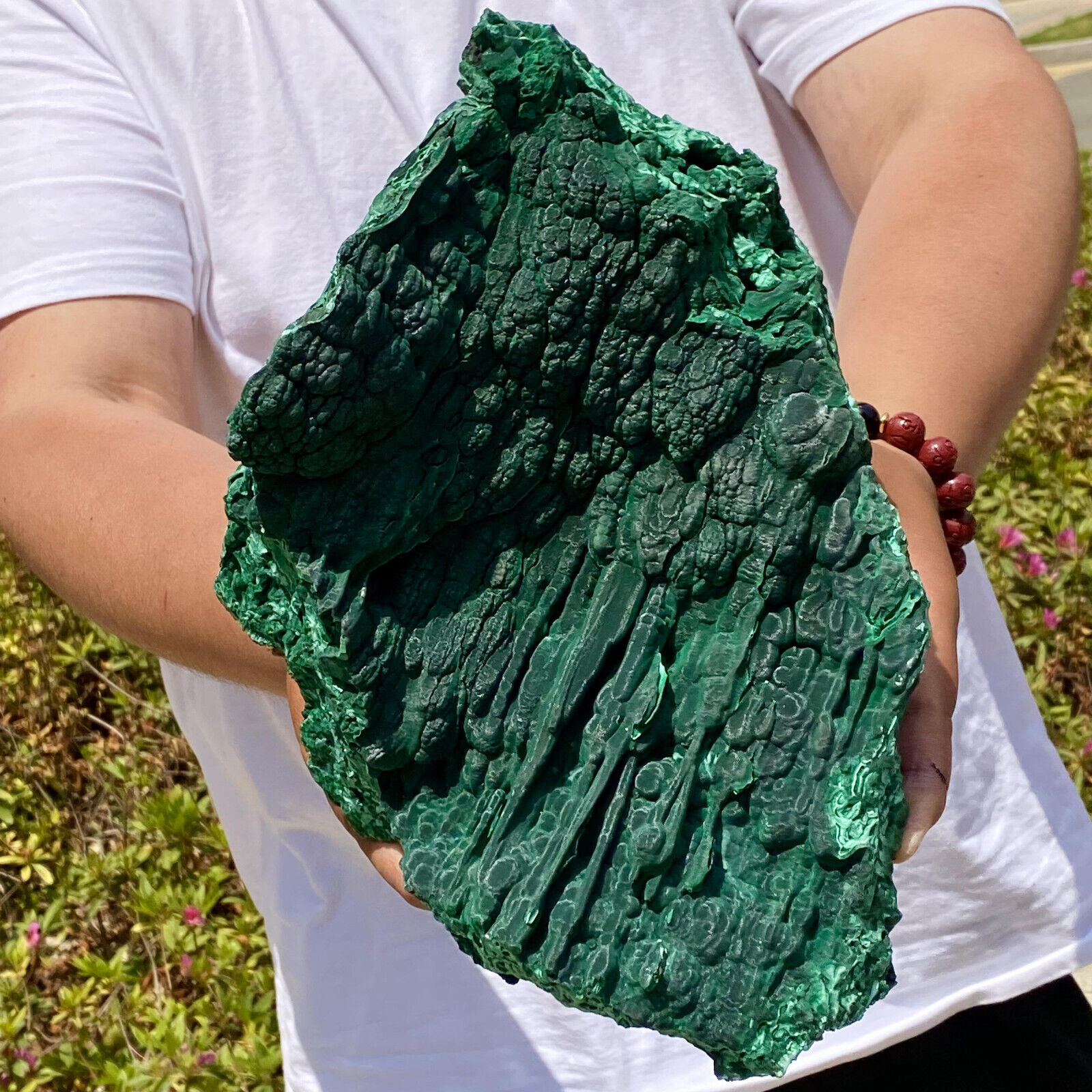 13.11LB Natural glossy Malachite coarse cat\'s eye cluster rough mineral sample