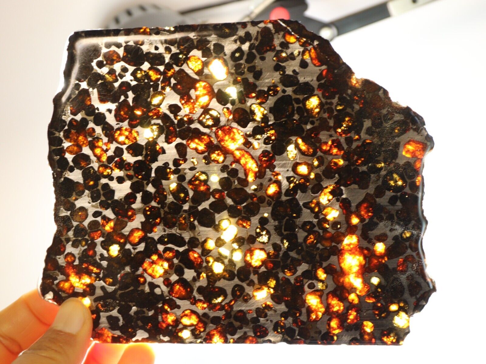 201g Slice meteorites, Rare slices of Kenyan Pallasite olive meteorite B2919