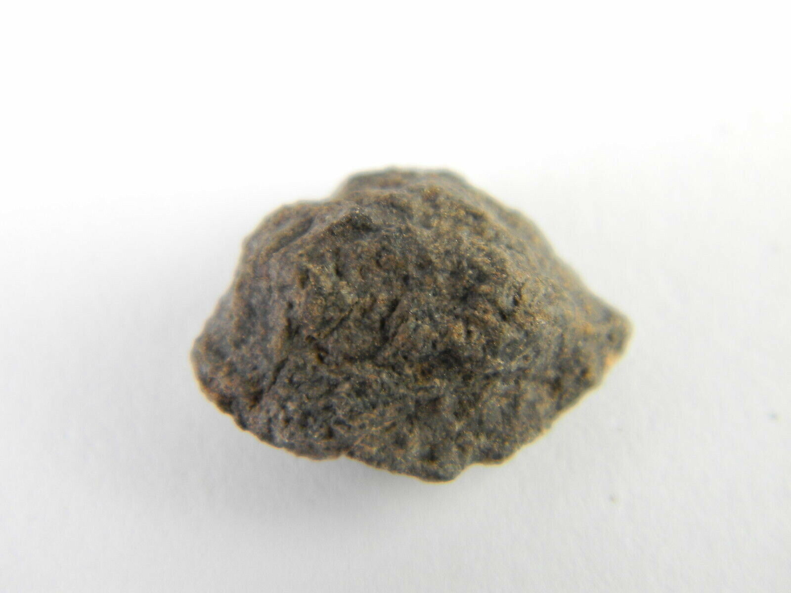 NWA Stony Iron Chondrite Meteorite Sahara Desert, Morocco 1.56 grams S37