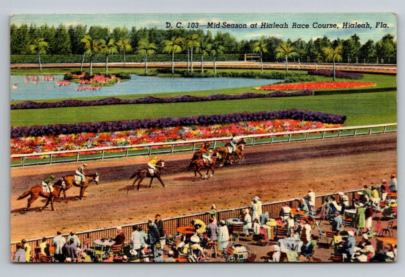 1950 posted postcard 5.5x3.5 inch linen HIALEAH RACE COURSE, Miami FL horse