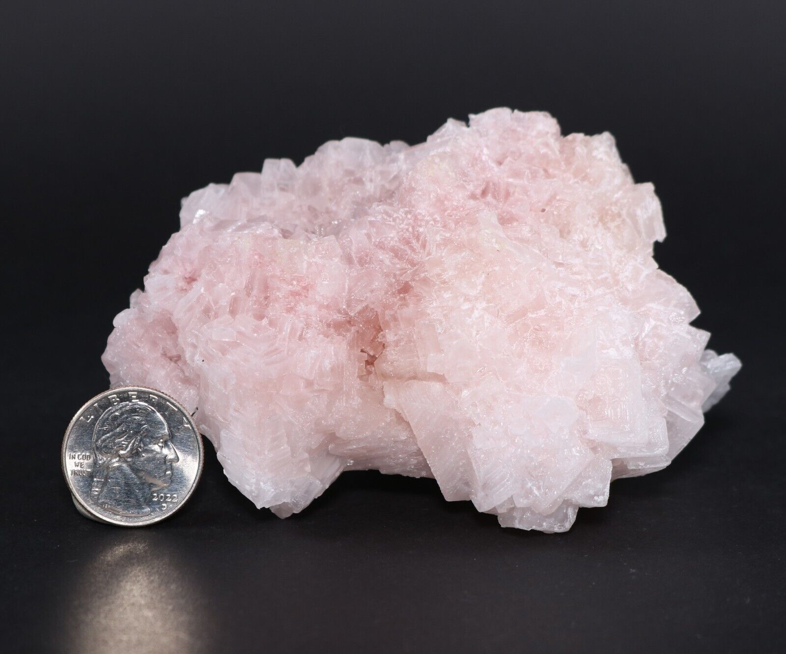 110 mm Natural Pink Halite Crystal Cluster Trona California CA COA 6334
