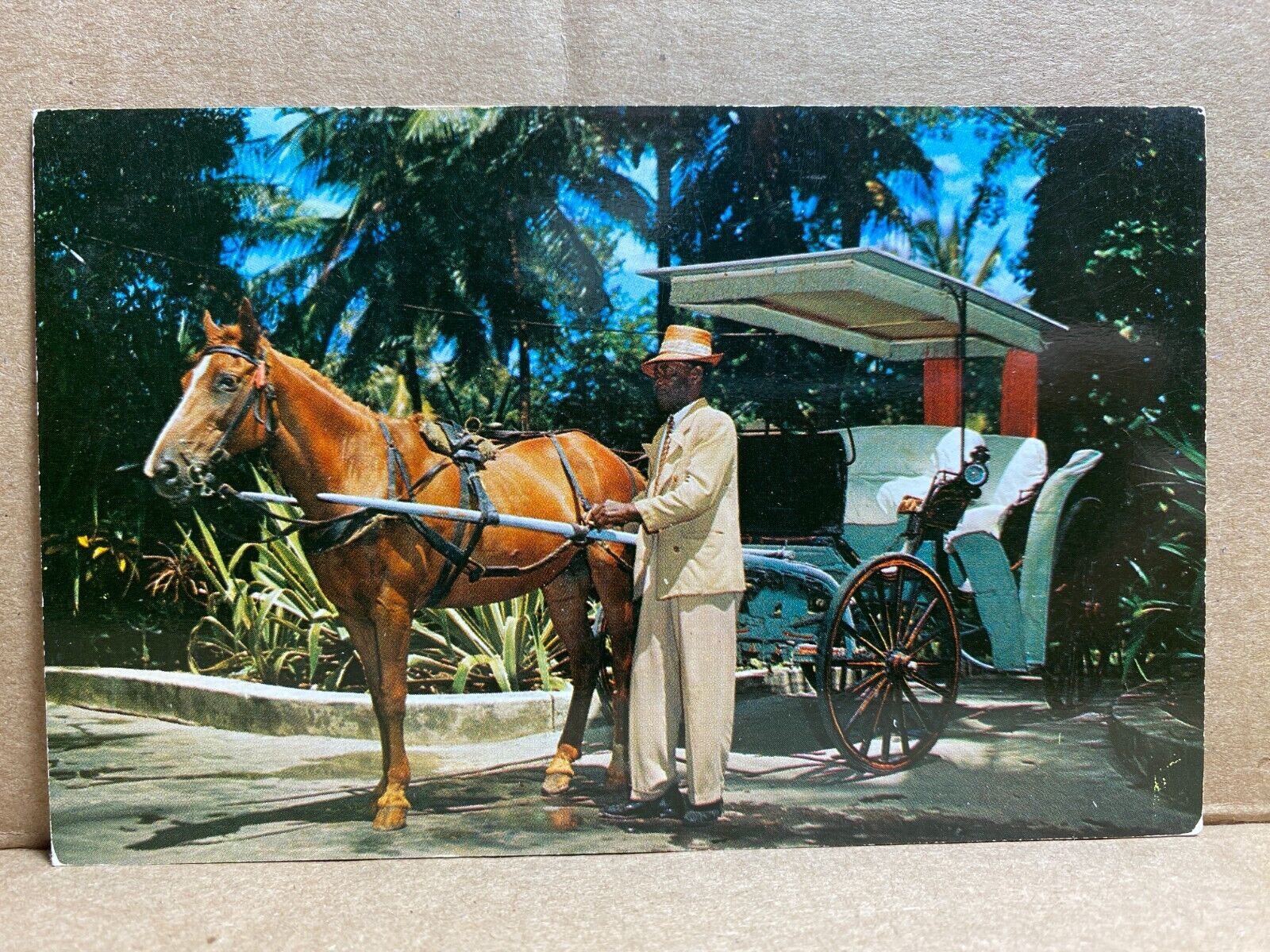 The Royal Victoria Hotel Nassau In The Bahamas Chrome Postcard 426