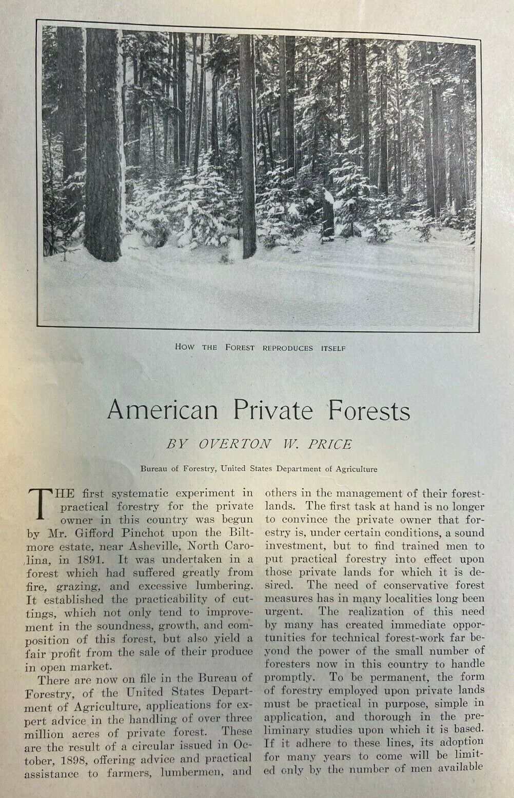 1902 American Private Forests Asheville North Carolina Sewanee Tennessee