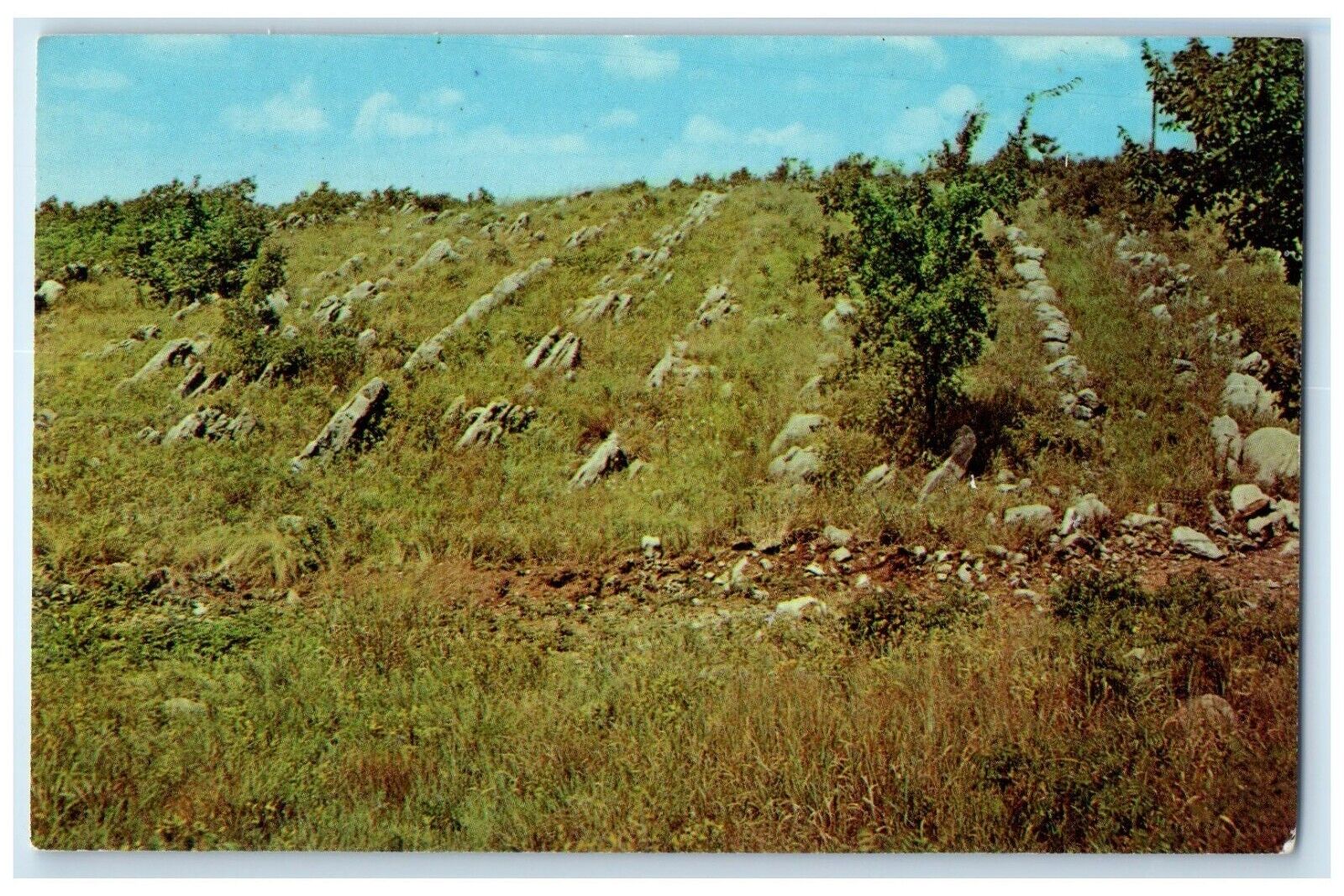 1968 Arbuckle Mountains Rock Formations Ardmore Oklahoma OK Vintage Postcard