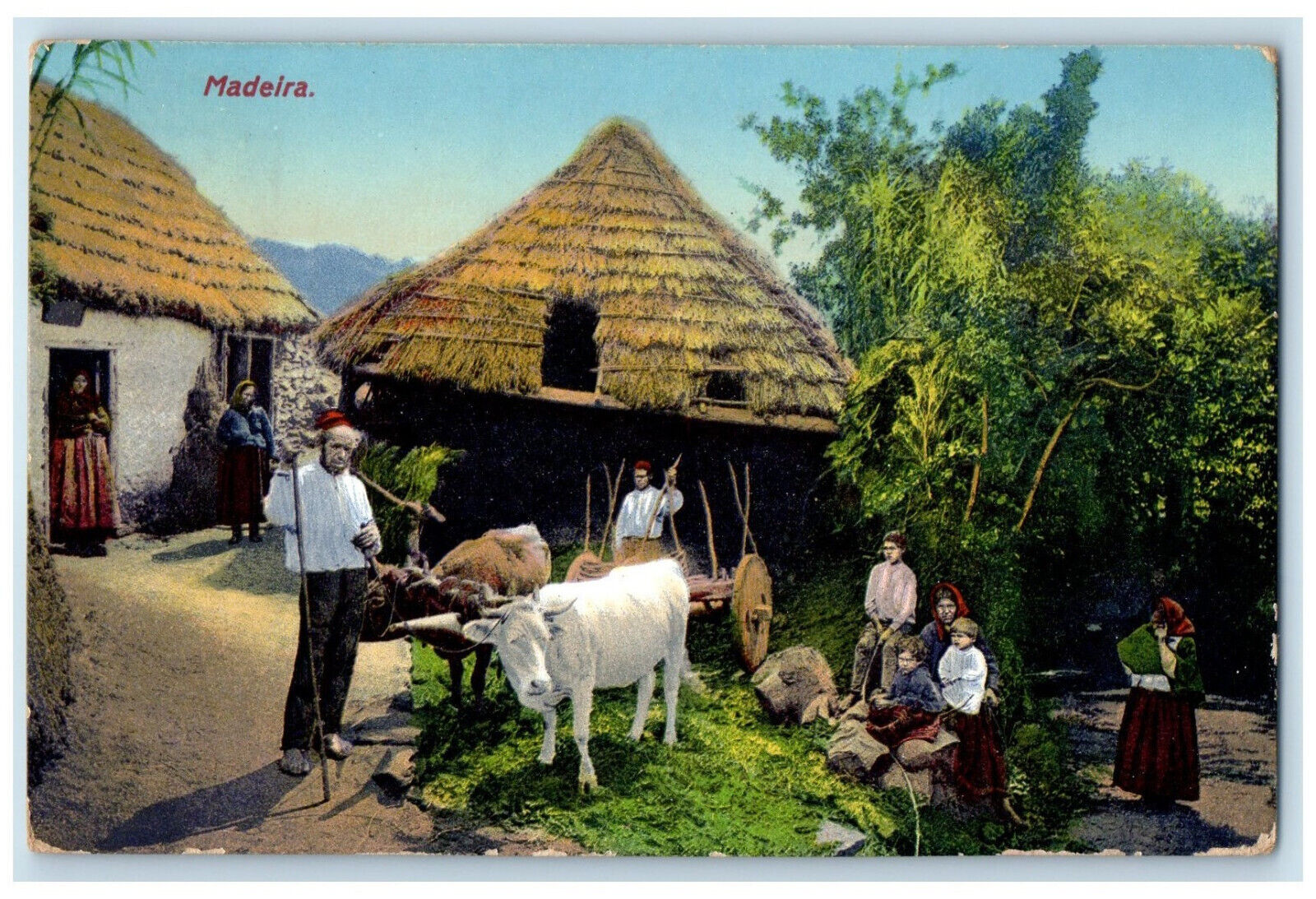 1927 Bull Cow Cart Residence Kids Mother Nipa Hut Madeira Portugal Postcard