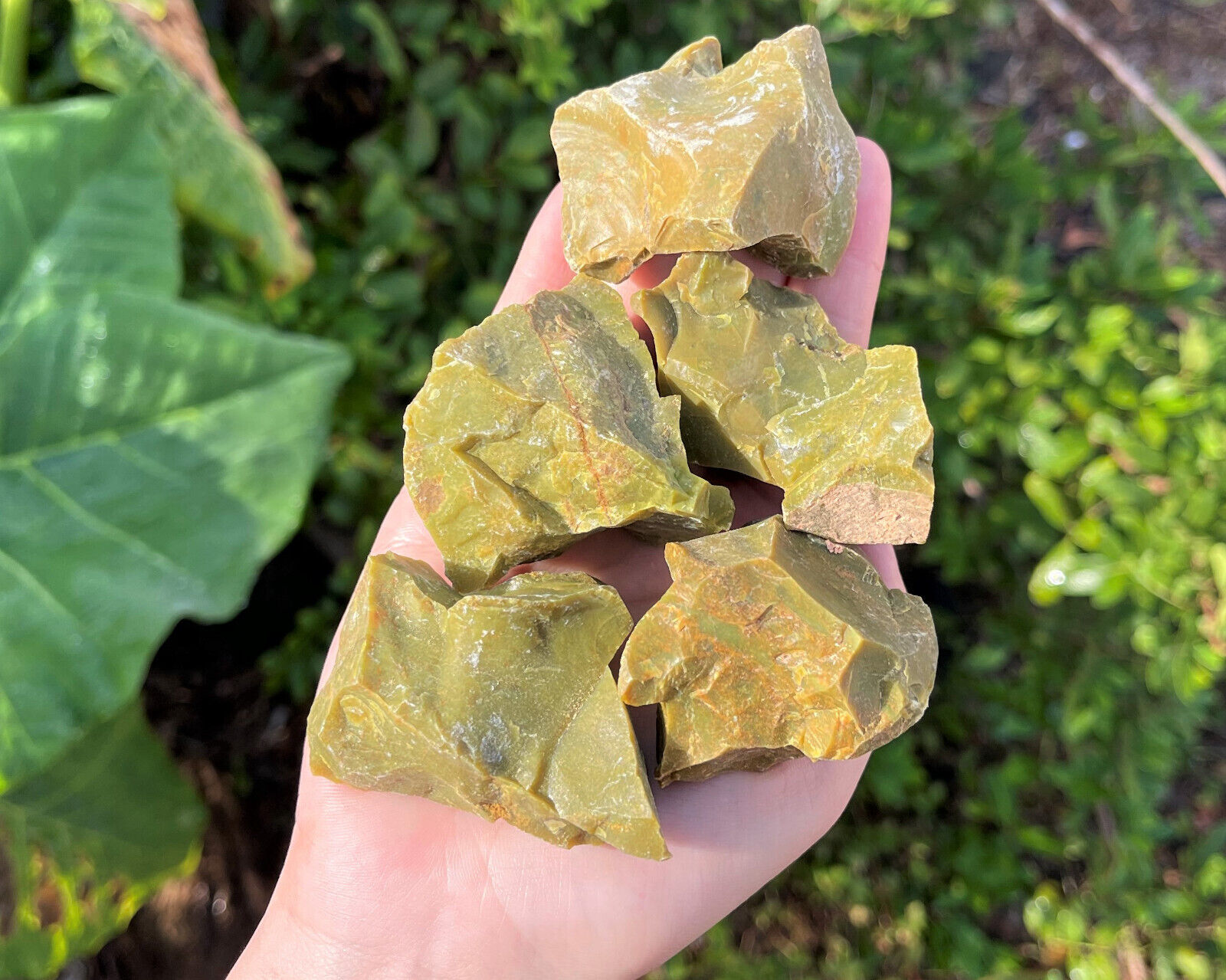 LARGE Rough Green Opal Natural Crystals, 2 - 3\