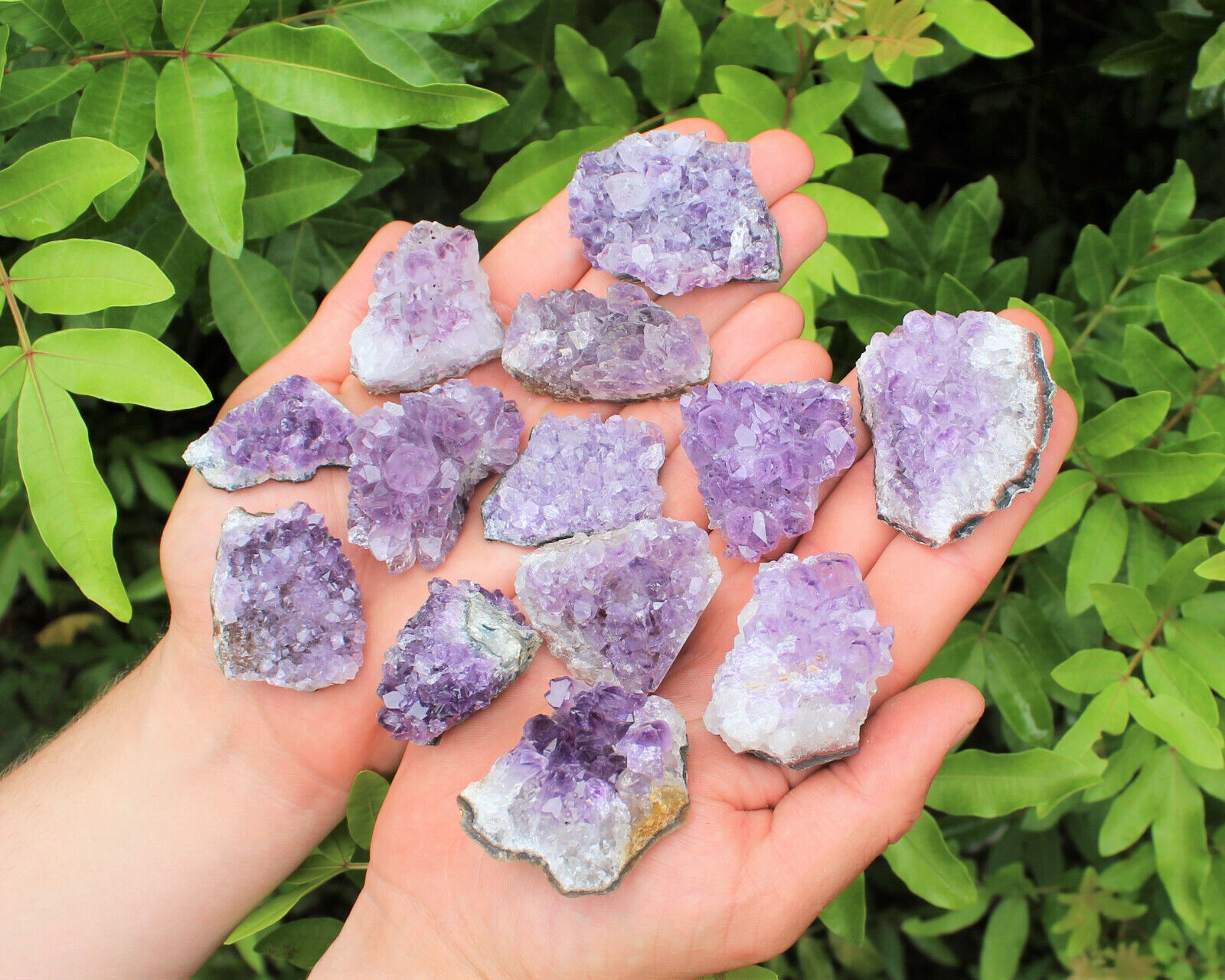 Bulk 1/2 lb Lot Natural Amethyst Crystal Clusters Geodes Gemstone (2 - 3 Pieces)