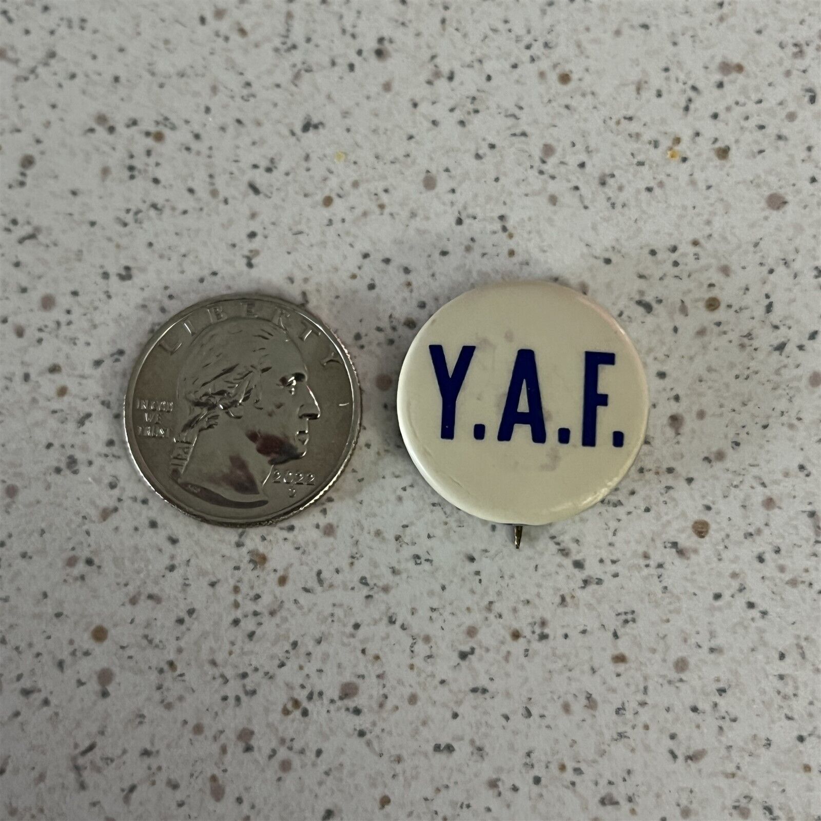 Young American Freedom Conservative YAF Club Group Pinback Button #45710