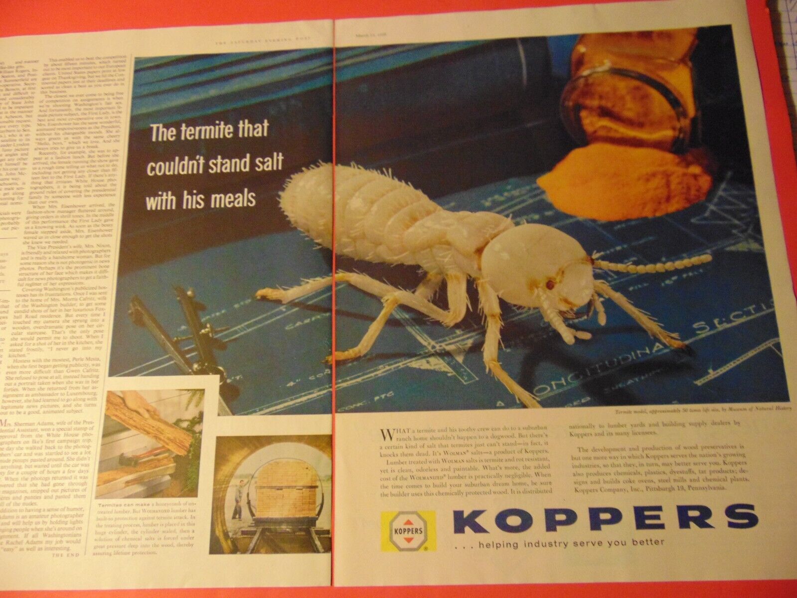 1958 KOPPERS wood protection from Termites vintage print ad