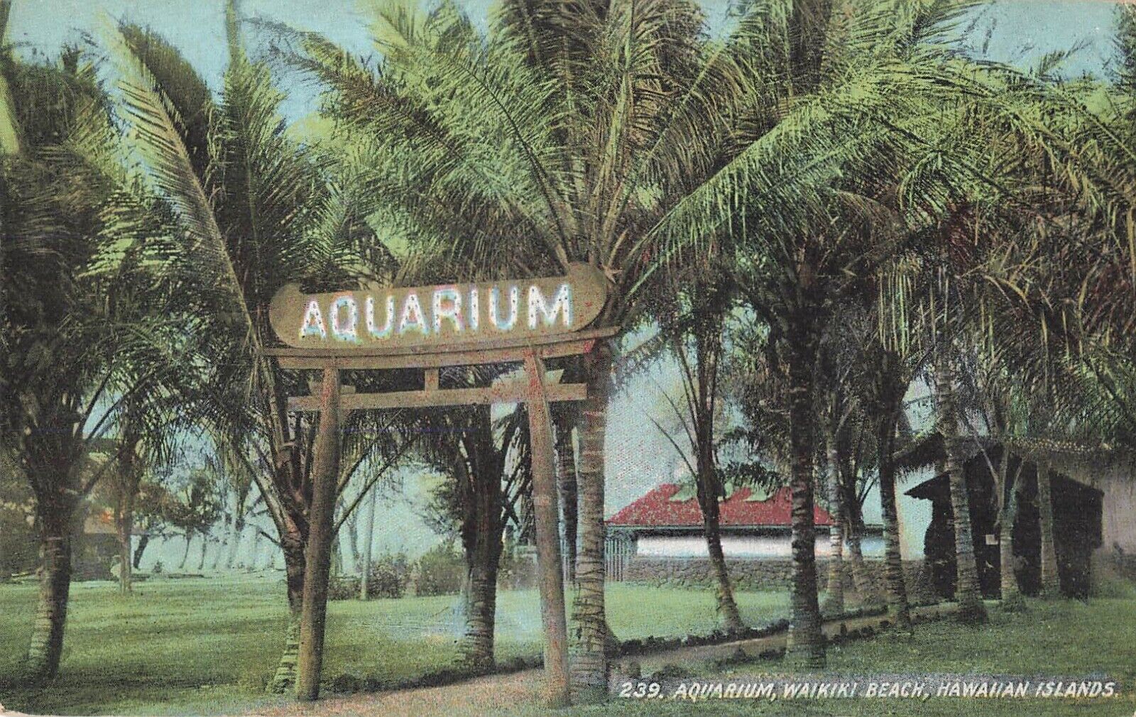 Waikiki, Hawaii Postcard Aquarium Hawaiian Islands Private Mailing c 1900 U5
