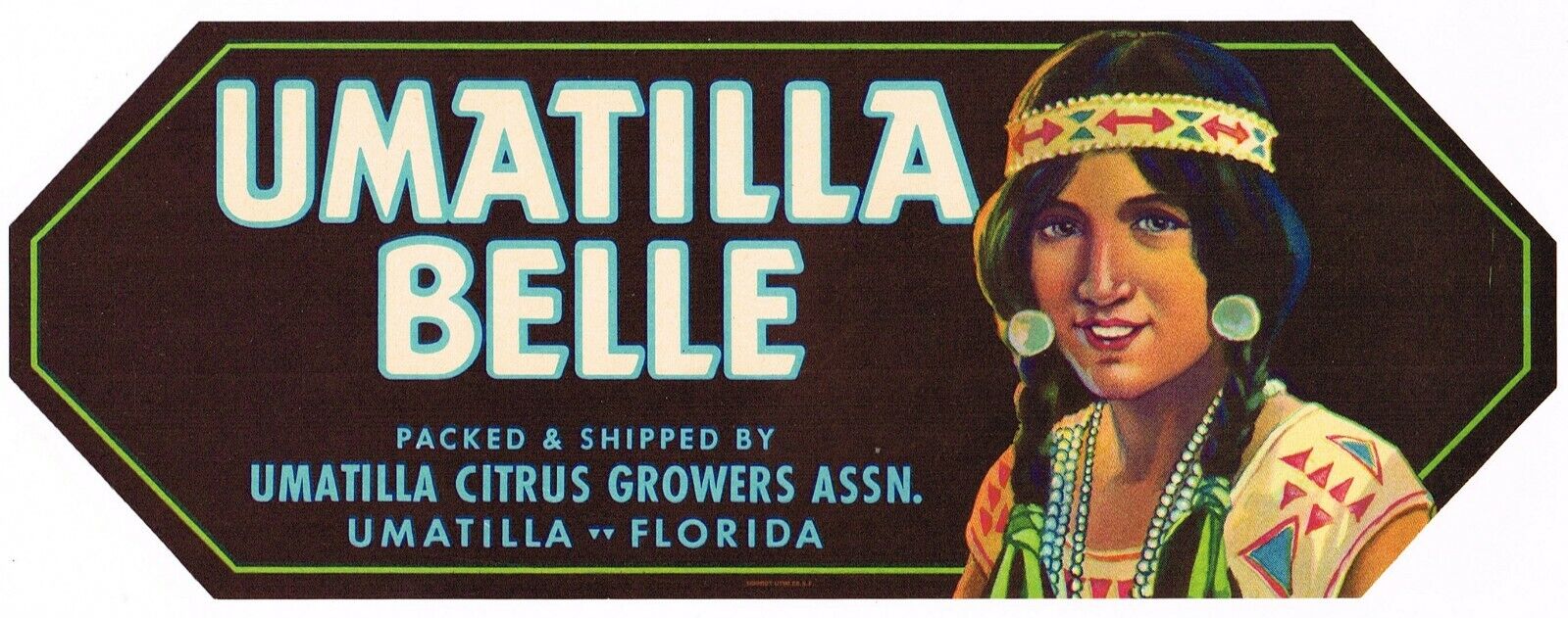 ORIGINAL CRATE LABEL VINTAGE FLORIDA C1930 UMATILLA BELLE AMERICAN INDIAN GIRL 