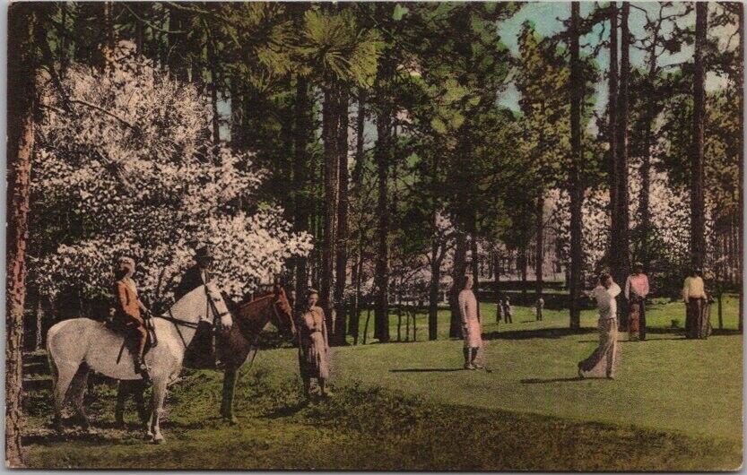 1952 PINEHURST RESORT NC Postcard Golf / Horses \