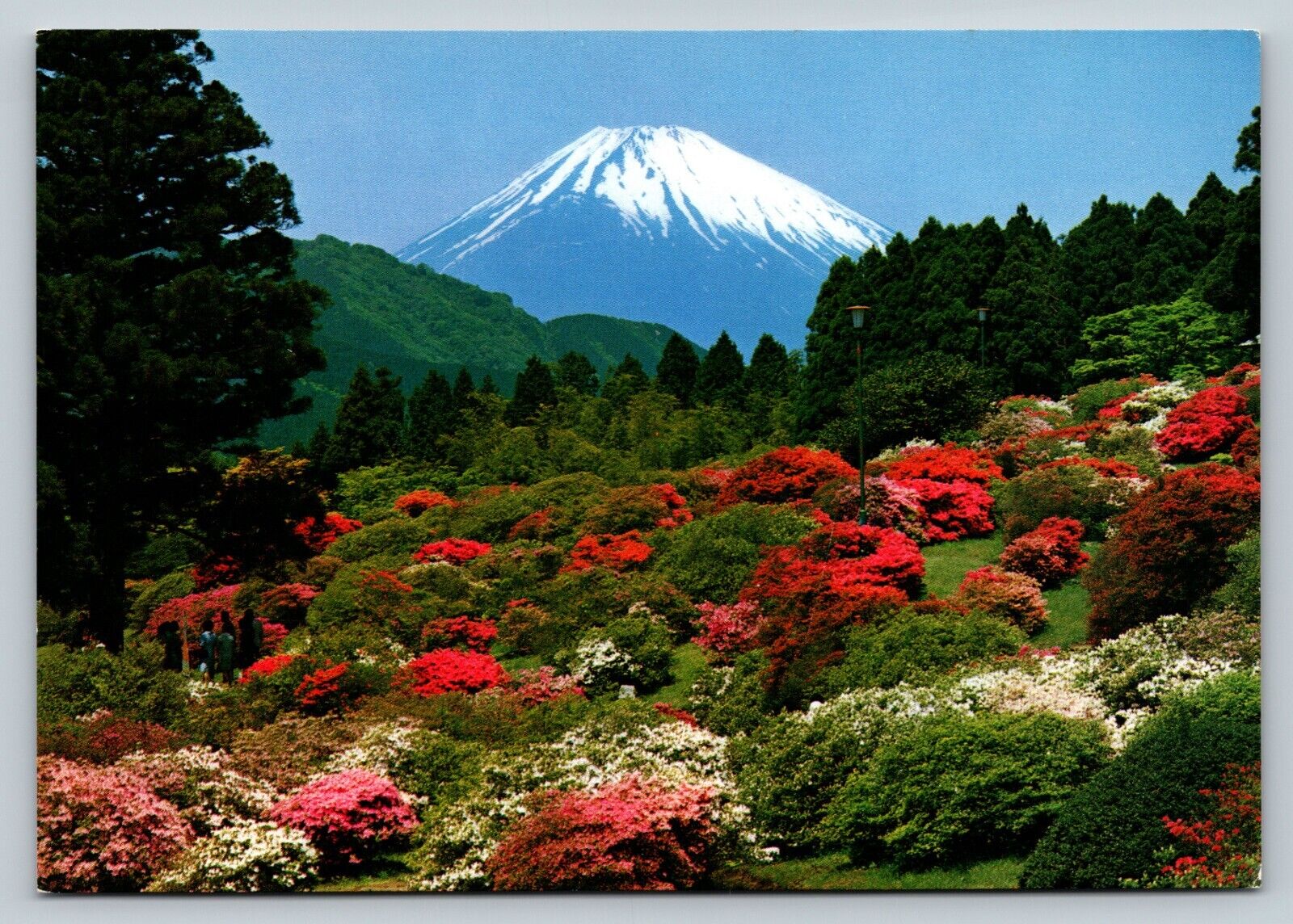 Stunning Early Spring View of Mt. Fuji In Japan 4x6