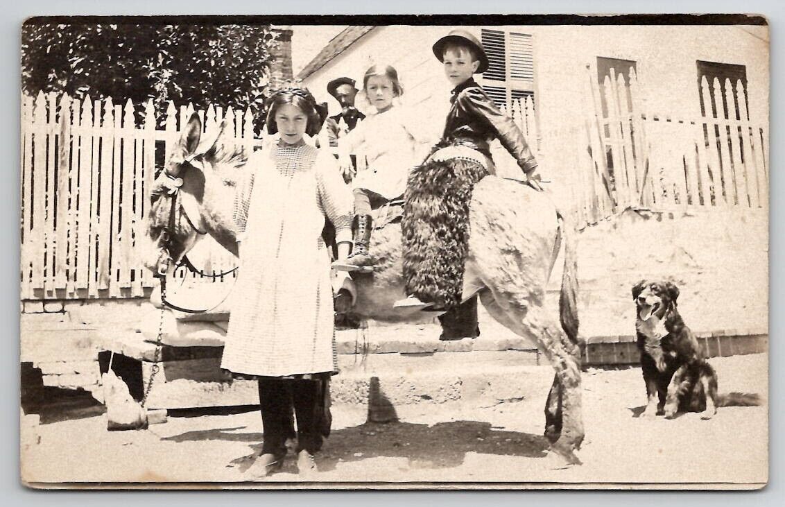 RPPC Fabulous Children Pose with Donkey Boy Wooly Chaps Cute Dog Postcard S26