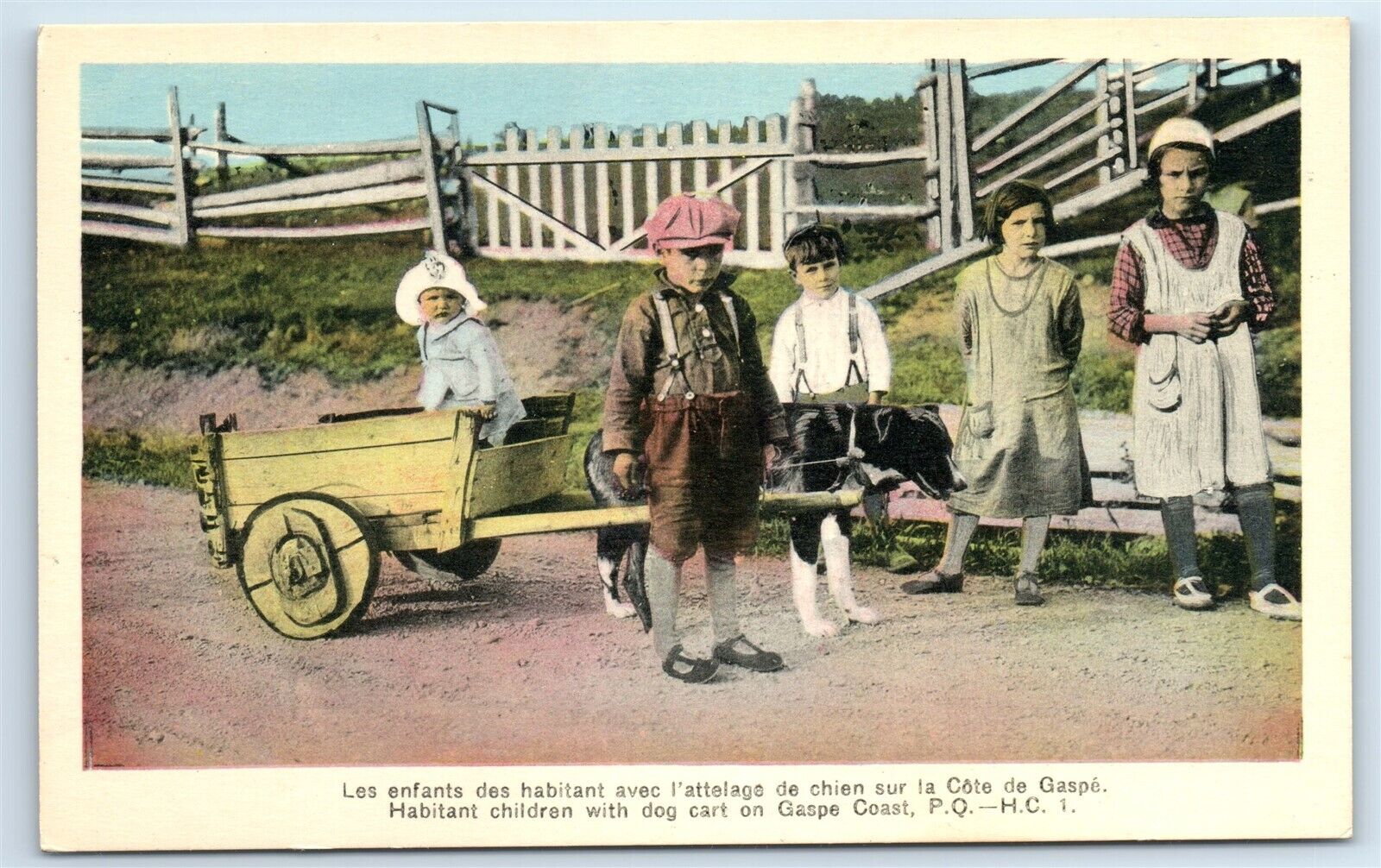 Postcard Habitant Children with Dog Cart on Gaspe Coast PQ Canada I179