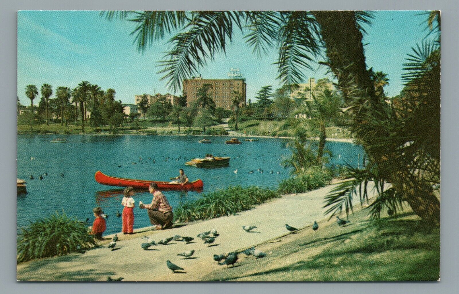 MacArthur Park Los Angeles California Lake Canoes Boats Vintage Postcard