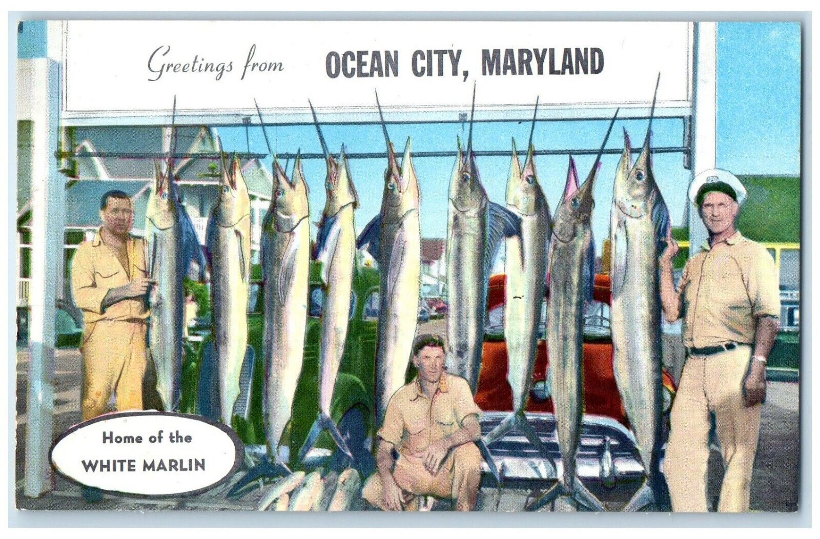 c1950's Greetings From Ocean City Maryland MD, Home Of The White Marlin Postcard