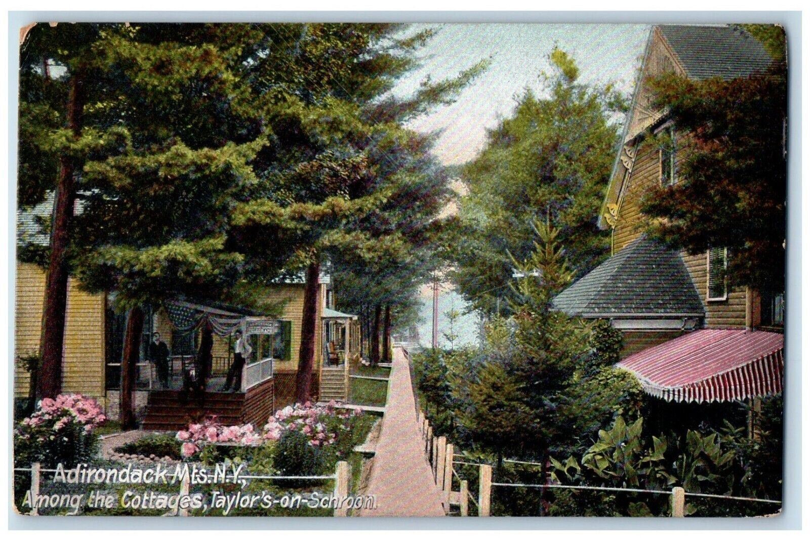 c1910 Among Cottages Taylors Schroon Adirondack Mts New York NY Vintage Postcard