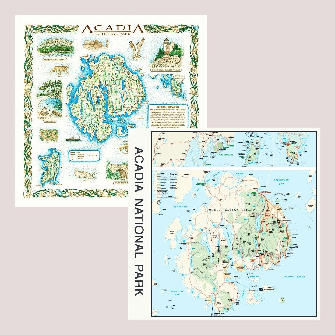Acadia National Park Bandanna 2-Pack Bundle Maine Map Printed Image Nature Facts