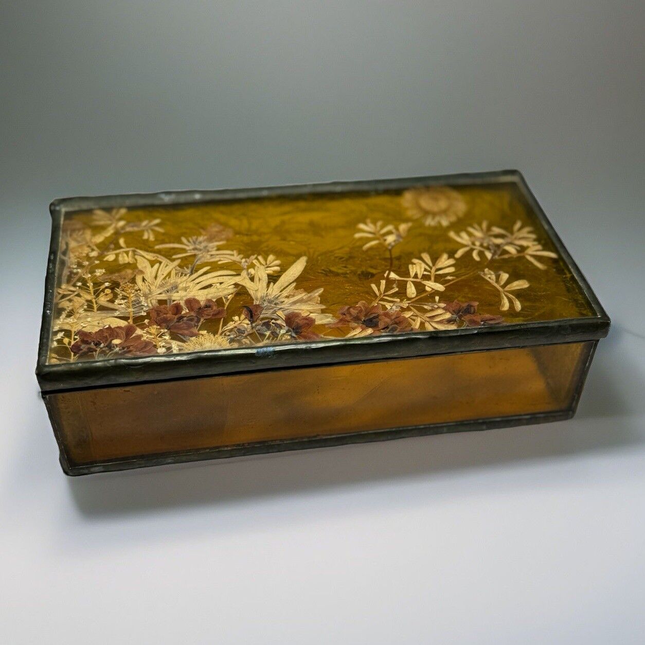Antique Pressed Flower Under Stained Glass Brass Trinket Vanity Box Hinged