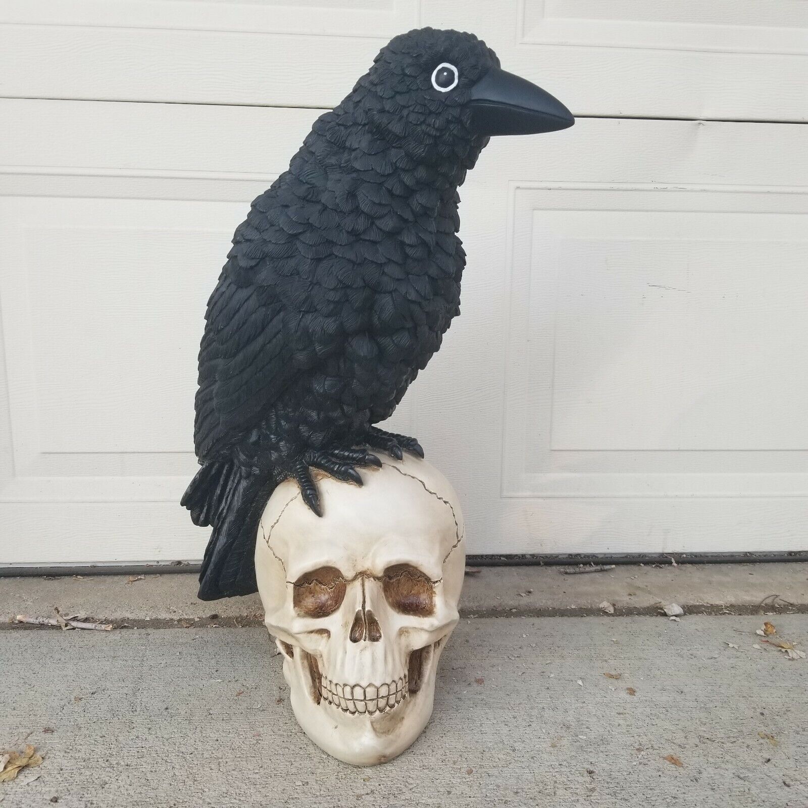 Halloween Skeleton Skull Raven Edgar Allen Poe Esque Huge Large 25\