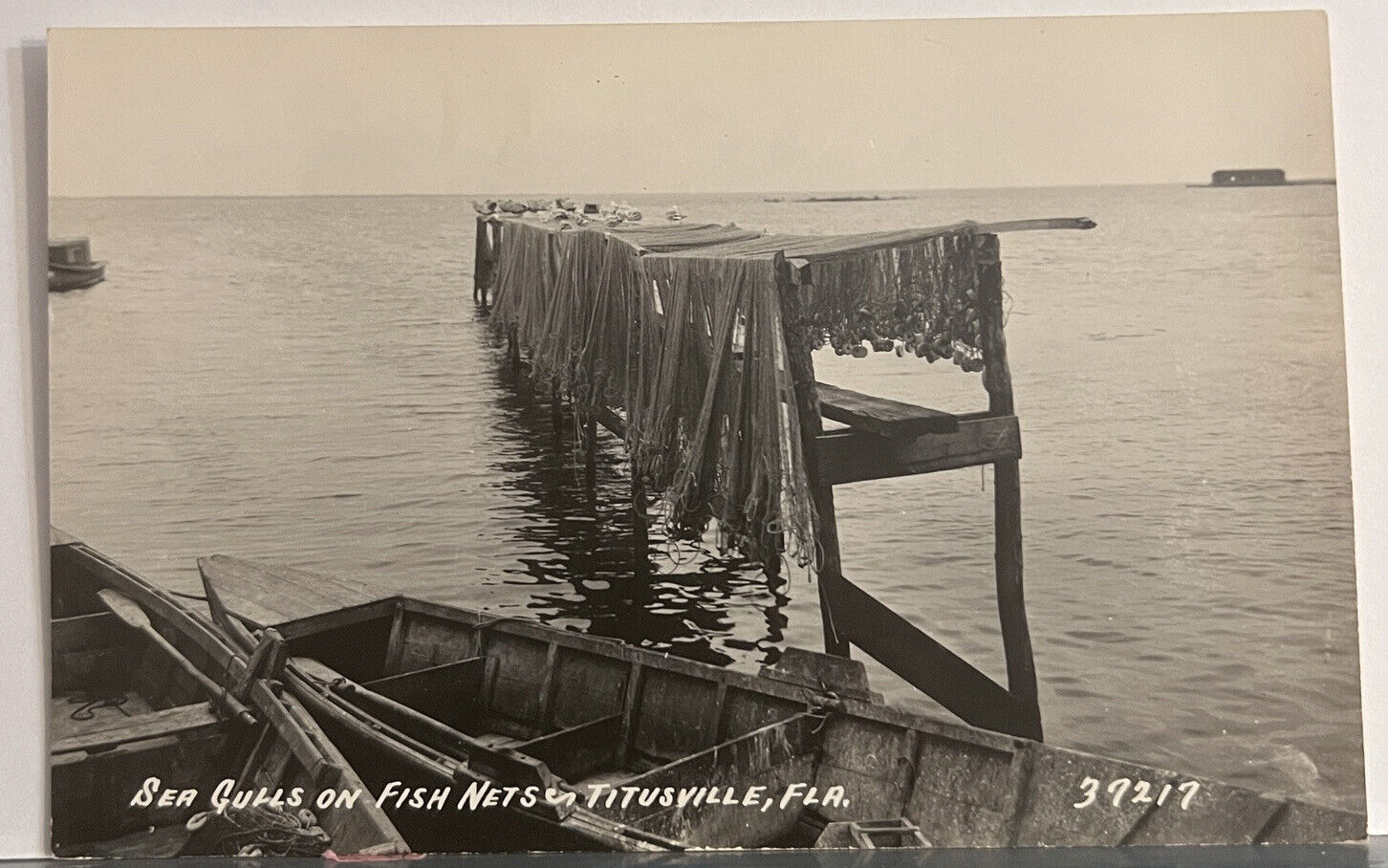 Vintage Postcard Seagulls On Fish Nets In Florida Real Photo Ephemera