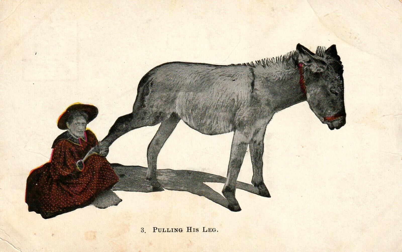 Pulling His Leg - Woman and Donkey - Humor Vintage Postcard C1907