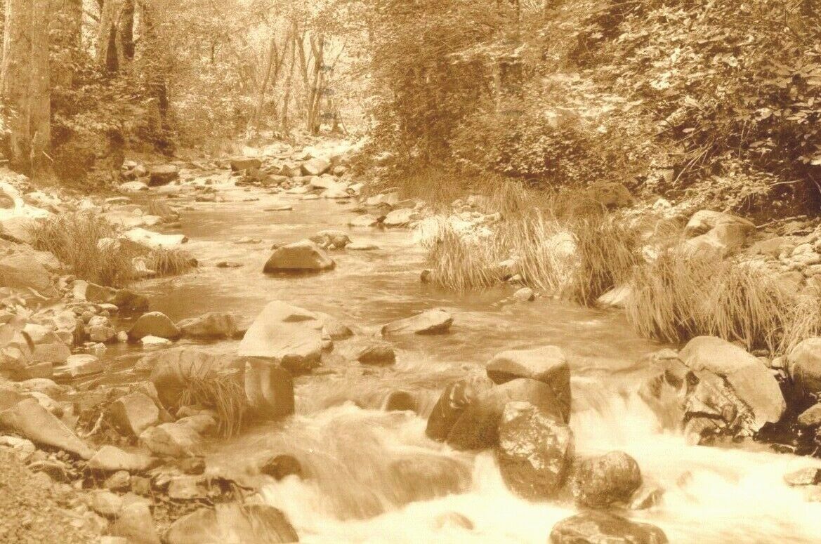 1925 RPPC Stream Near Lokoya Lodge Napa County Ca. Real Photo  (A10)