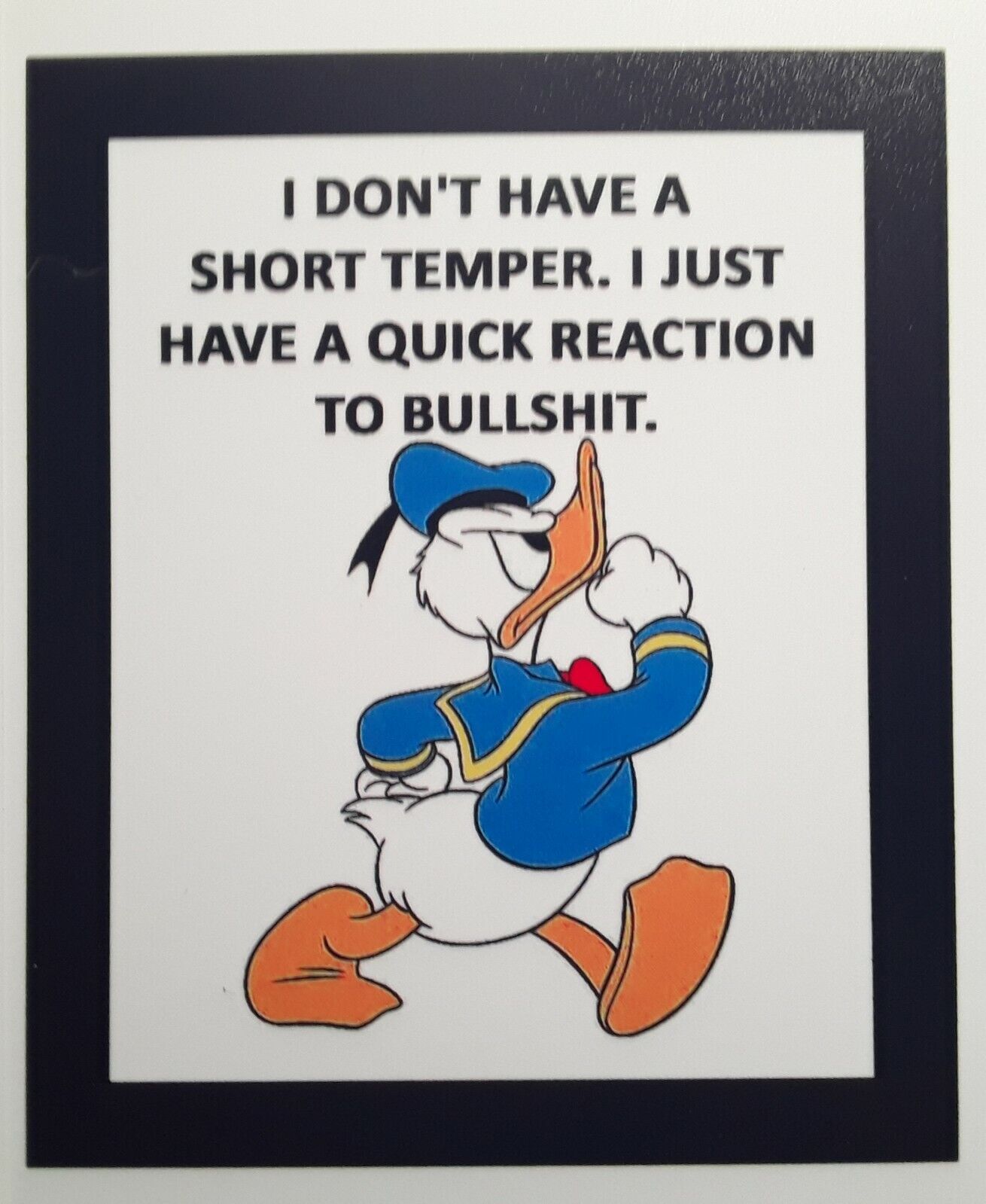  Donald Duck Magnet ☆ A Short Temper
