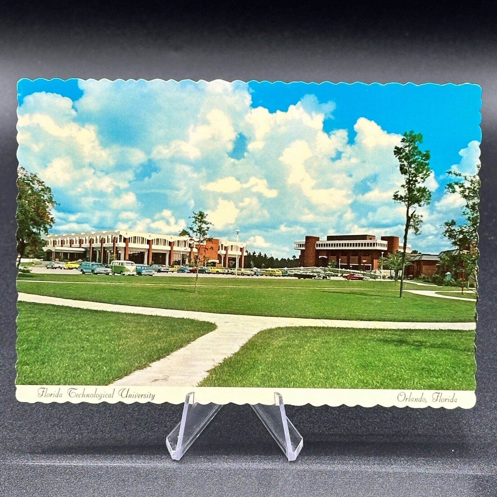 Vintage Orlando FL Florida Technological University Library FTU UCF Postcard Vtg