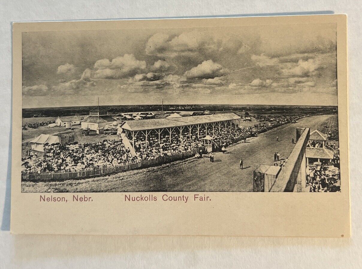 Nuckolls Co Fair, Nelson, Nebraska Wagon Racing Postcard c1910