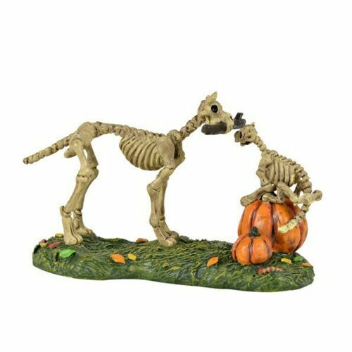 Dept 56 Halloween Village HAUNTED PETS AT PLAY Accessory 6001748 DEALER STOCK
