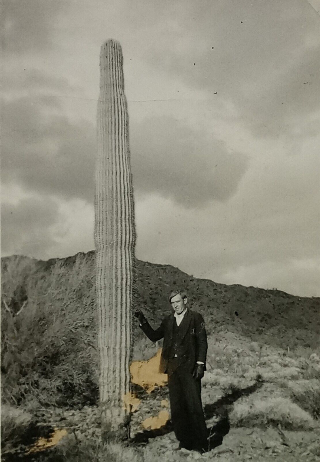 c.1920s Man Tall Cactus Desert Proper Fashion Antique Vintage B&W Photograph