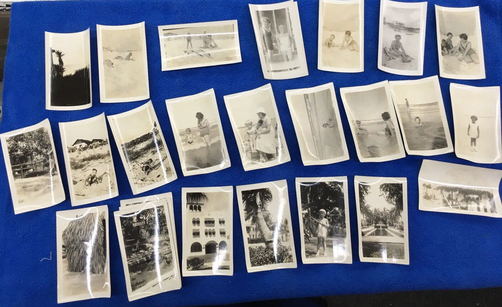 Photograph Vacation Beach Day Lot 5 Family Pictures Vintage 1950s