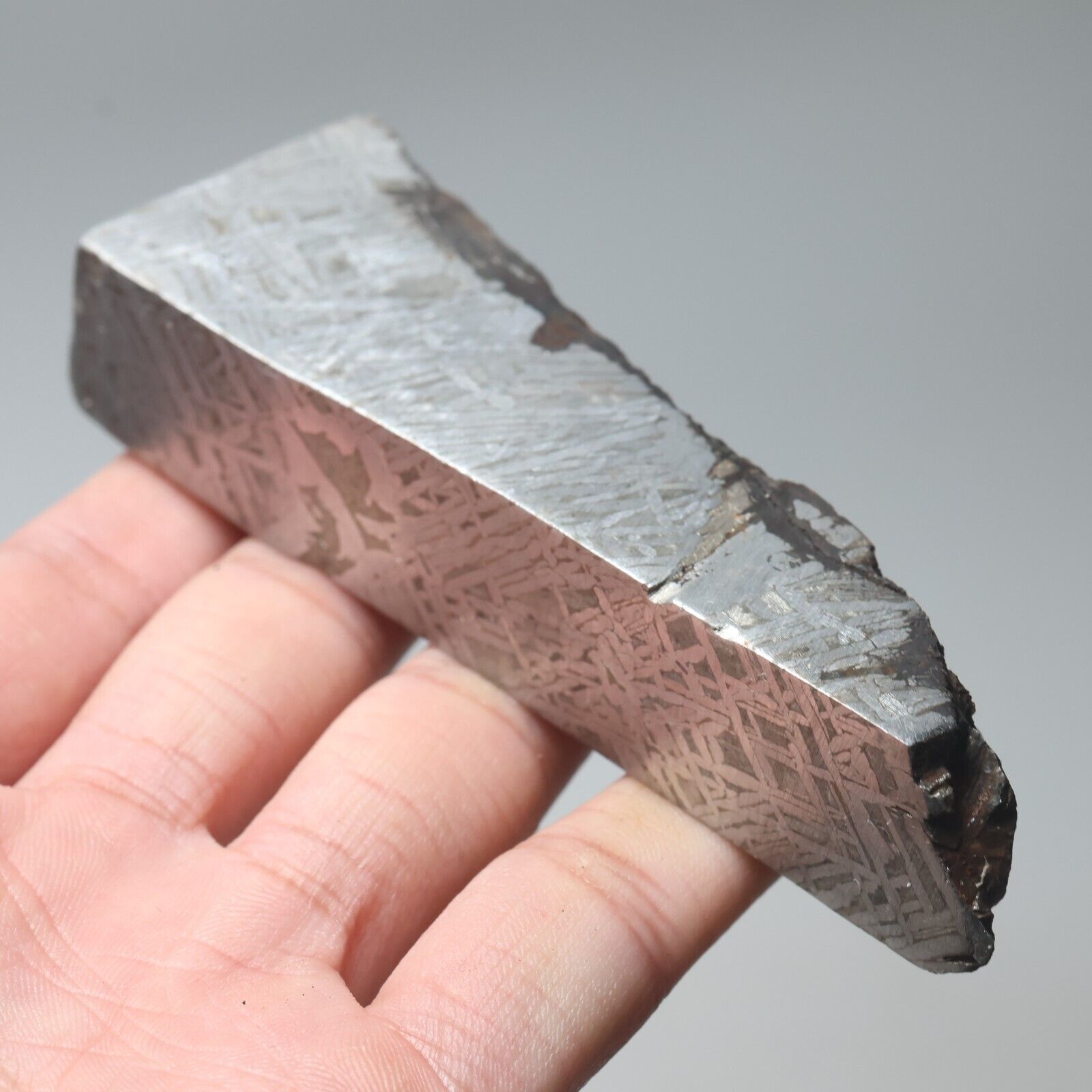 265g  Muonionalusta meteorite part slice C7651