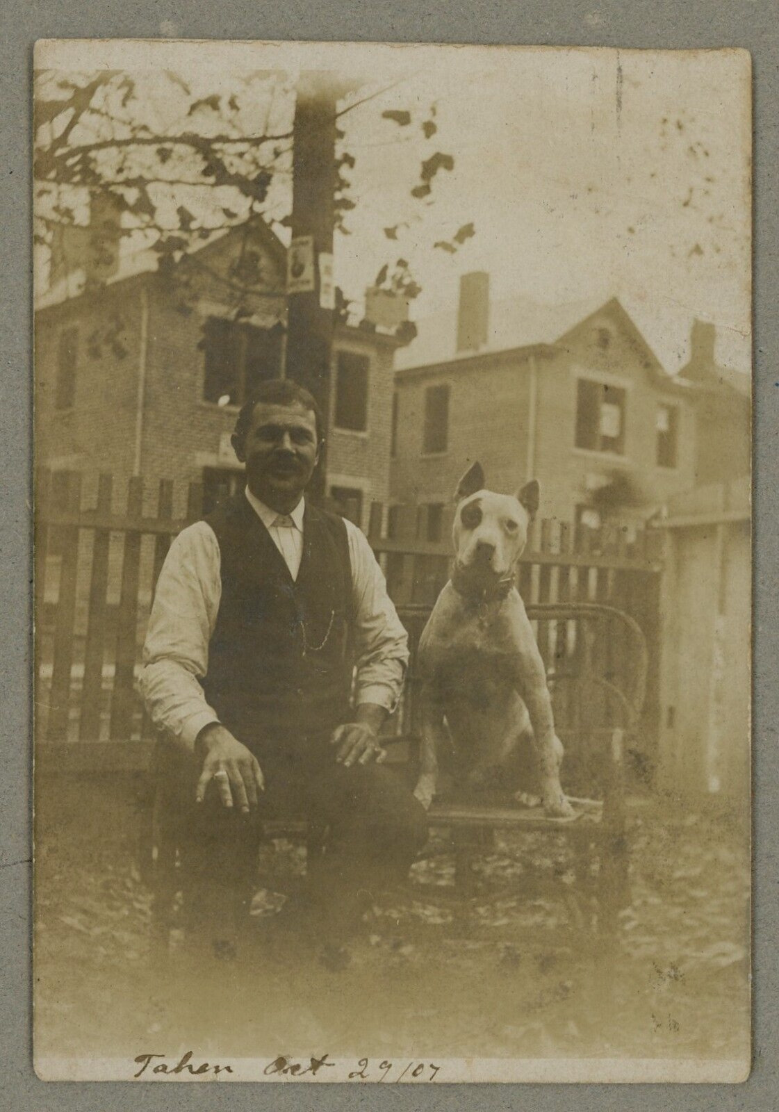 1907 RPPC Man and his Big Pitbull Dog Outdoors Pose Real Photo Postcard