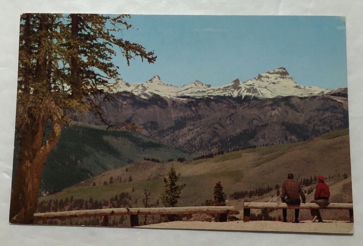 Uncompahgre Peak From Windy Point In Colorado. Postcard (Y1)