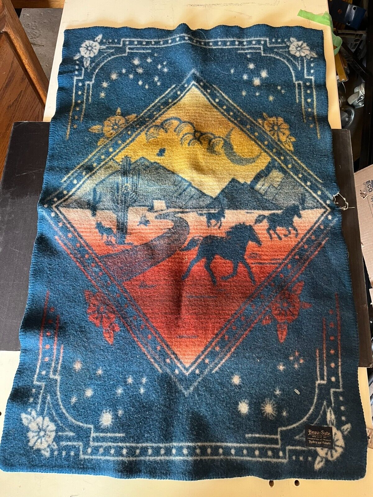 Pendleton Wind Riders small blanket for babies