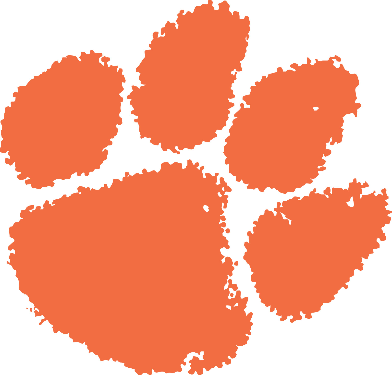 Clemson Tigers NCAA College Team Logo 4