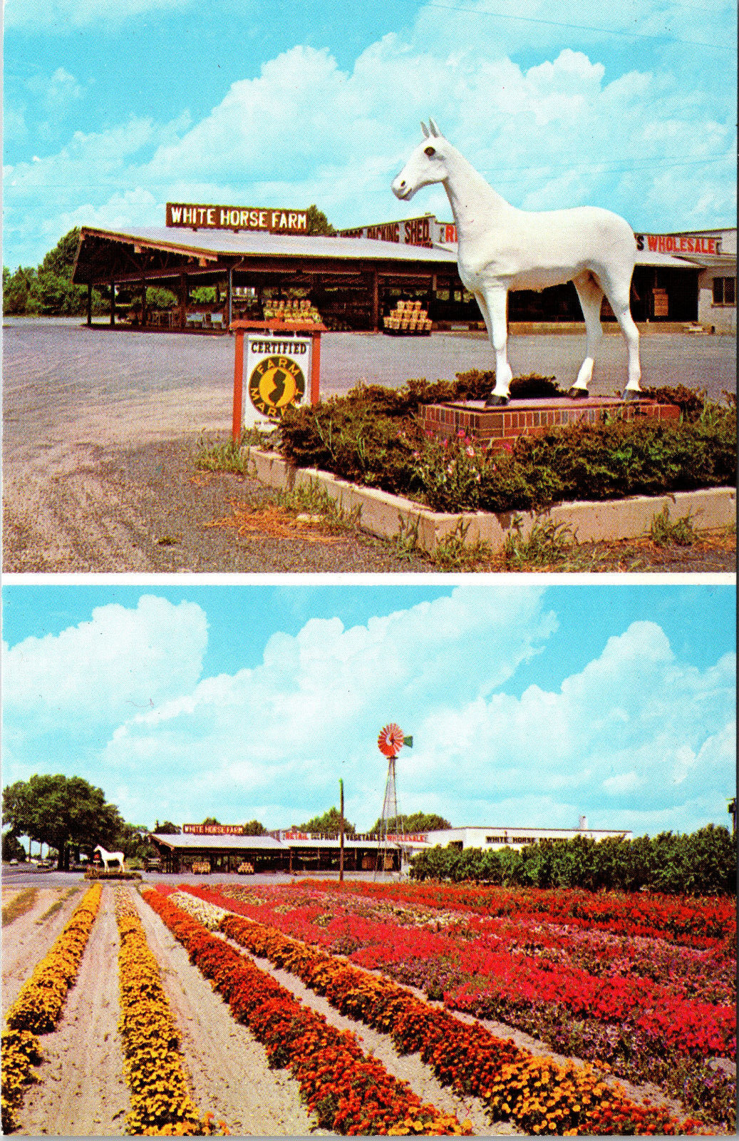 1960s White Horse Farm Farmers Market Hammonton New Jersey Postcard Vtg