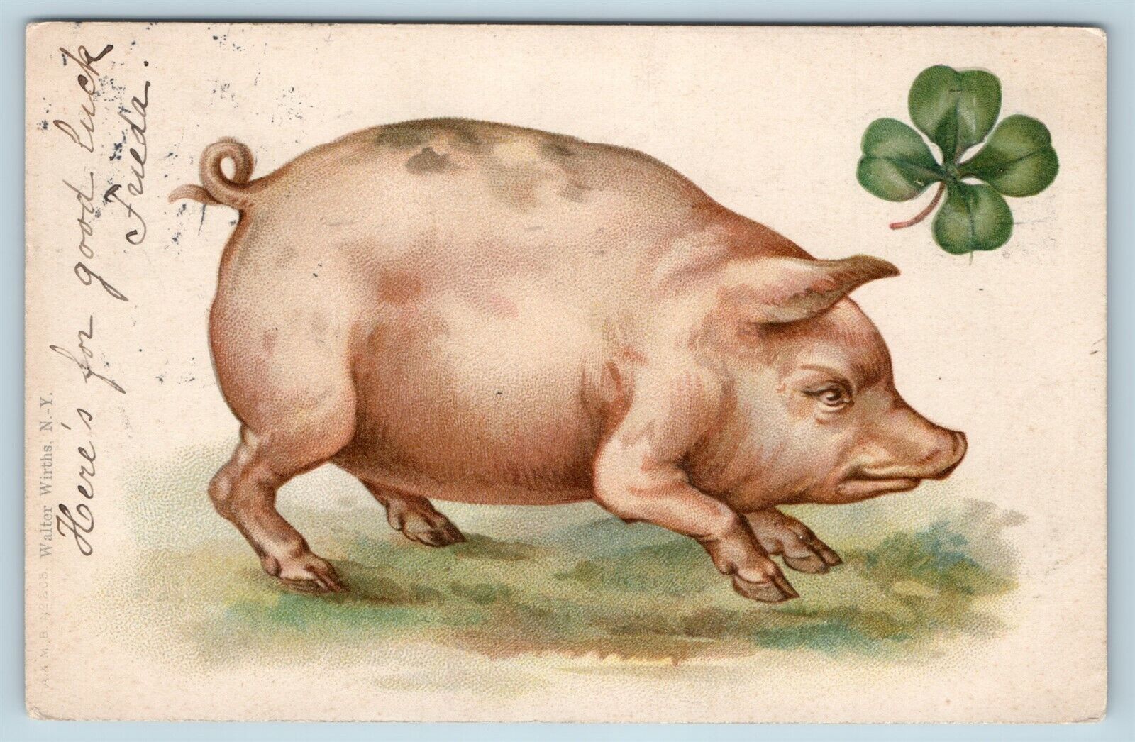 Postcard Large Pig & Four Leaf Clover Good Luck 1904 Walter Wirths PMC AD13