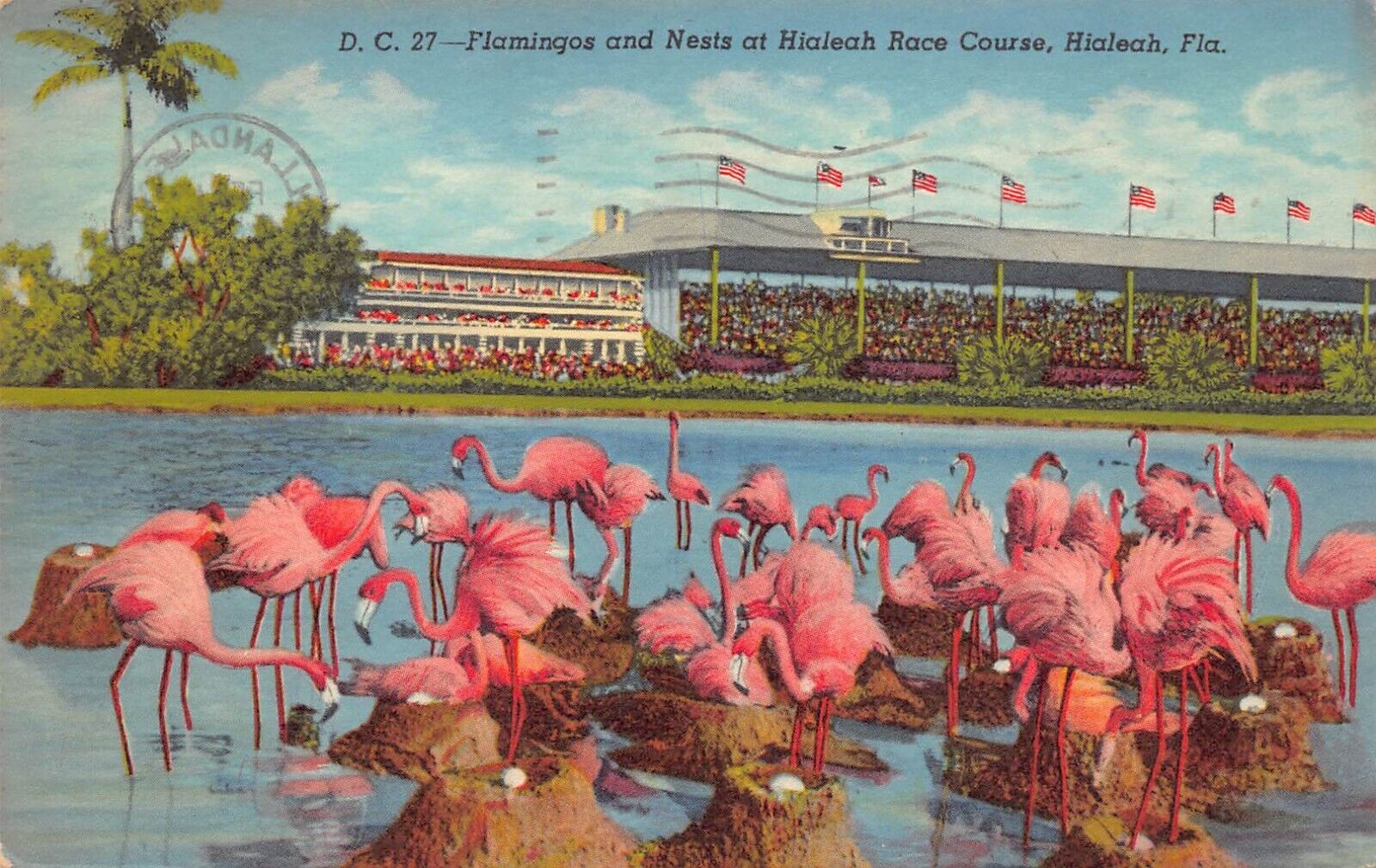 Hialeah FL Florida Greyhound Racing Race Course Track Park Flamingos Postcard