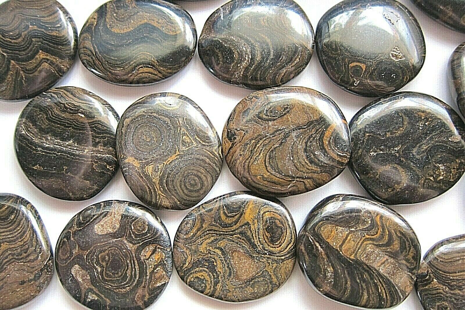 One Brown Stromatolite Flat Palm Worry Stone 40mm Healing Crystal Stress Worry