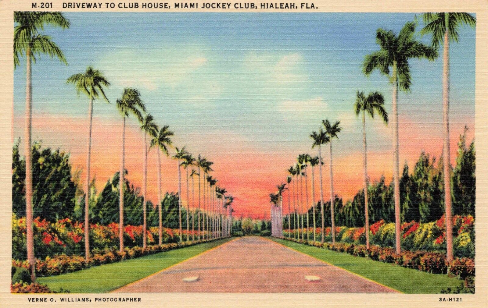 Postcard Driveway to Club House, Miami Jockey Club, Hialeah Florida Linen