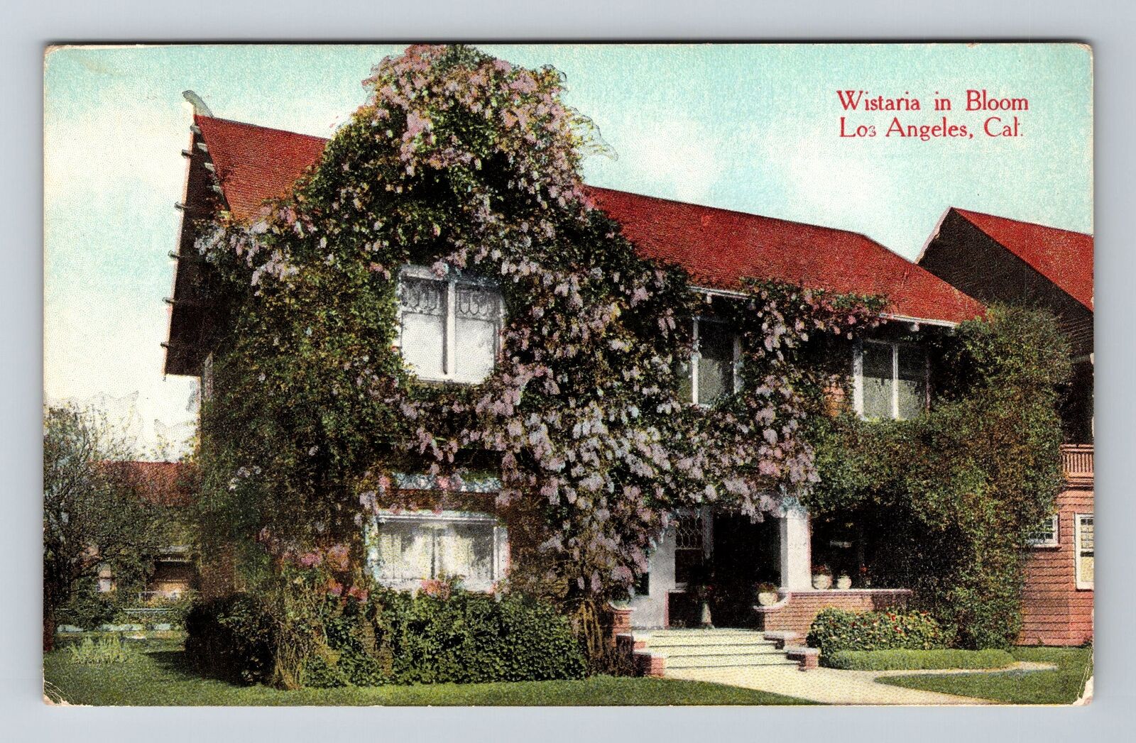 Los Angeles CA-California, Wistaria In Bloom, Scenic Outside, Vintage Postcard